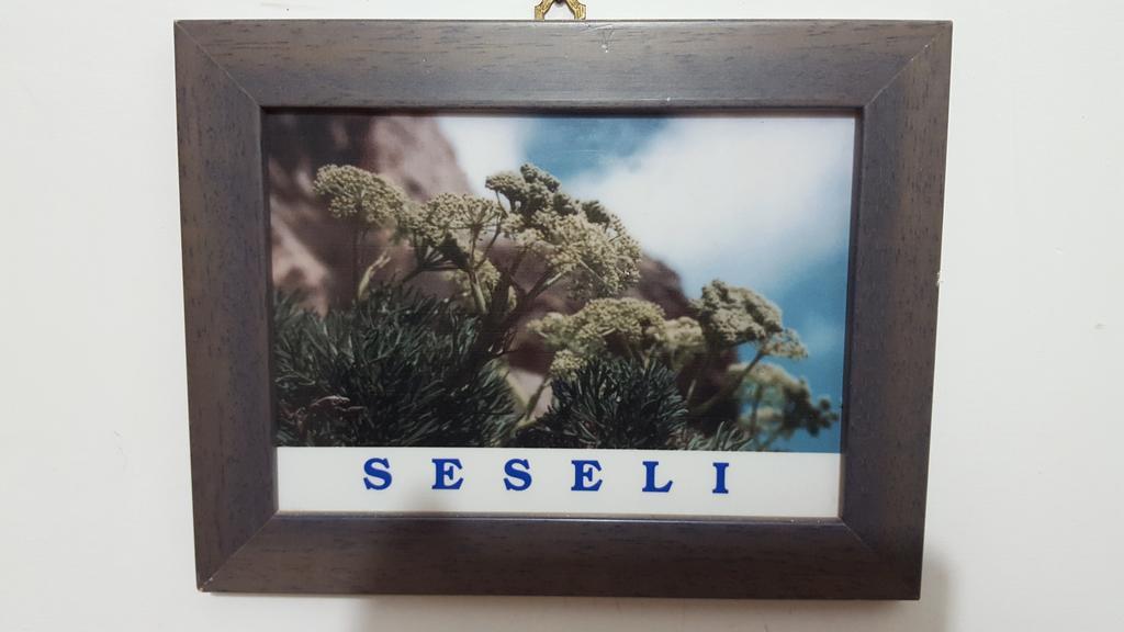 Isoladelmiele Hotel Marettimo Luaran gambar